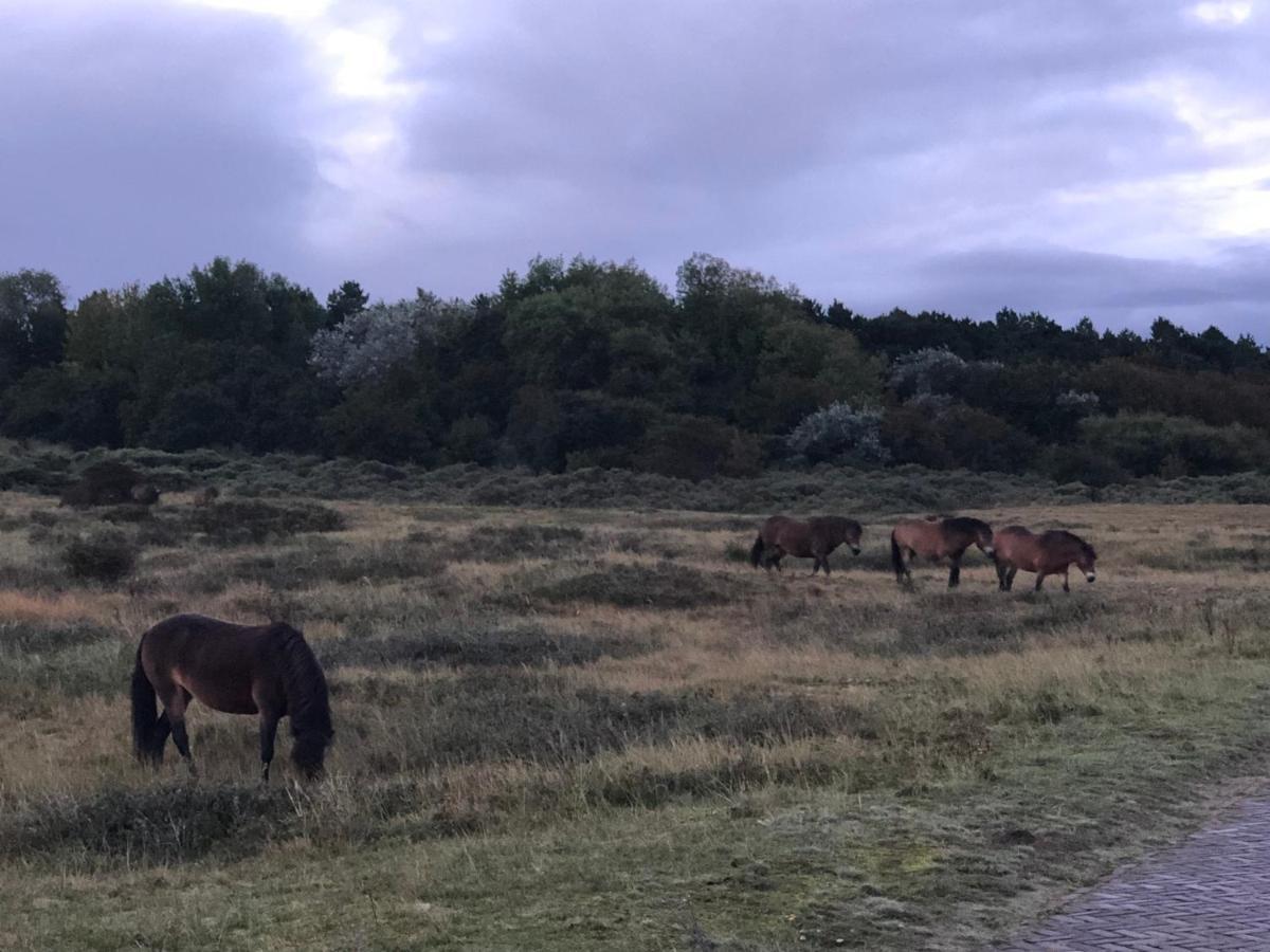 Familiehuis Achter De Duijnhoeve Bakkum Luaran gambar