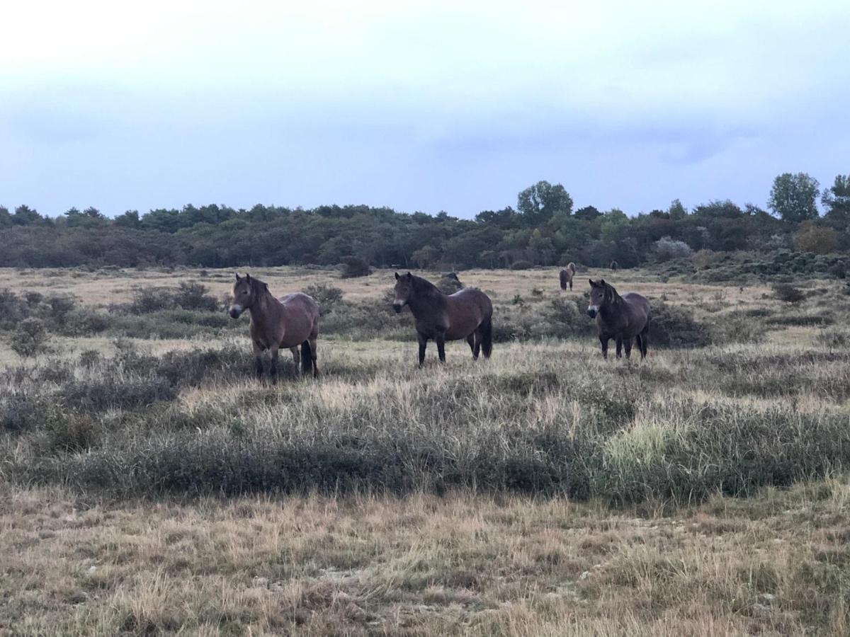 Familiehuis Achter De Duijnhoeve Bakkum Luaran gambar